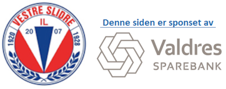 Vestre Slidre Idrettslag
